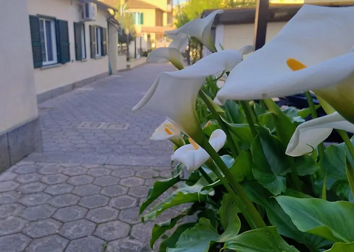 Casetta Trionfale * Roma