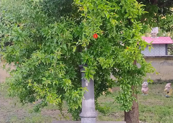 דירה Casetta Trionfale